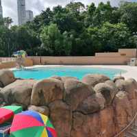 好享受於九龍公園泳池游水