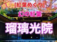 京都[紅葉めぐり]   幻の紅葉　瑠璃光院