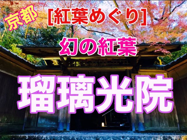 京都[紅葉めぐり]   幻の紅葉　瑠璃光院