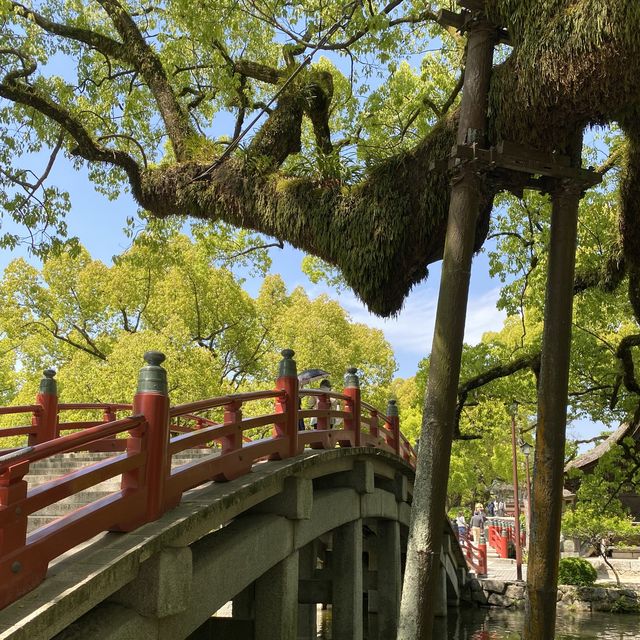 【福岡】福岡で訪れたい学問の神様