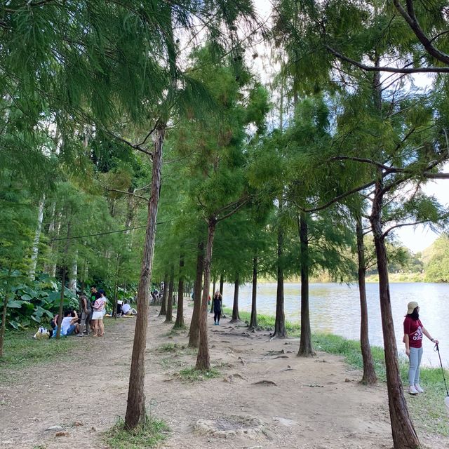 港版輕井澤-流水響水塘🏞