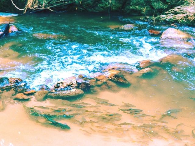 น้ำตกแจ้ซ้อน 🏞