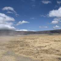 Wildlifes at their best, Ngorongoro