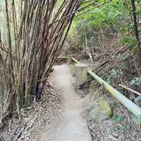 大澳虎山遊