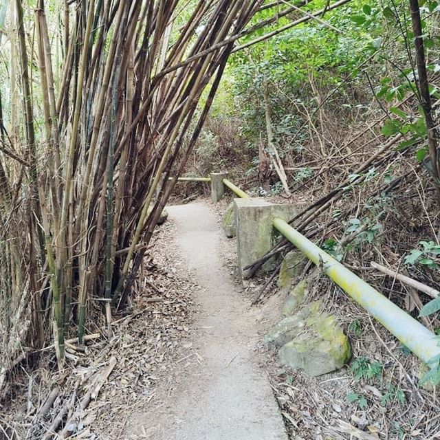大澳虎山遊
