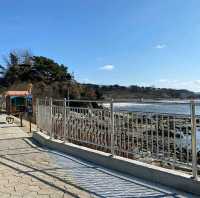 이색적인 오이도 겨울바다