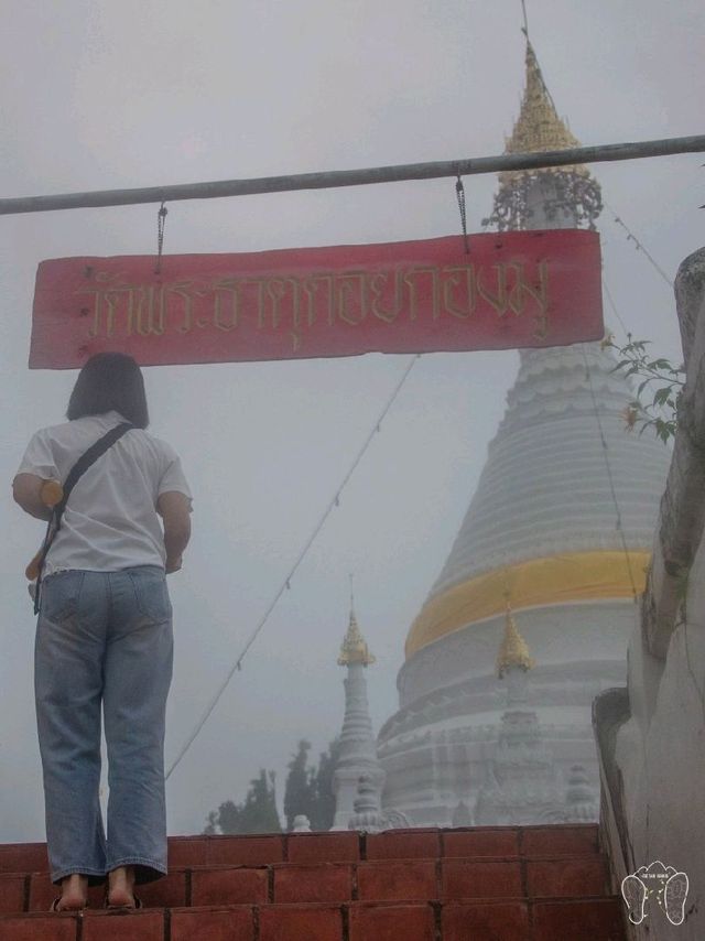 🛕วัดพระธาตุดอยกองมู ศรัทธาแห่งเมืองสามหมอก🛕
