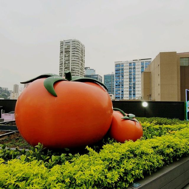 集合娛樂丶飲食及休閒的中心 ～ 葵芳新都會廣場 