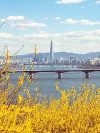 개나리 가득했던 달맞이근린공원