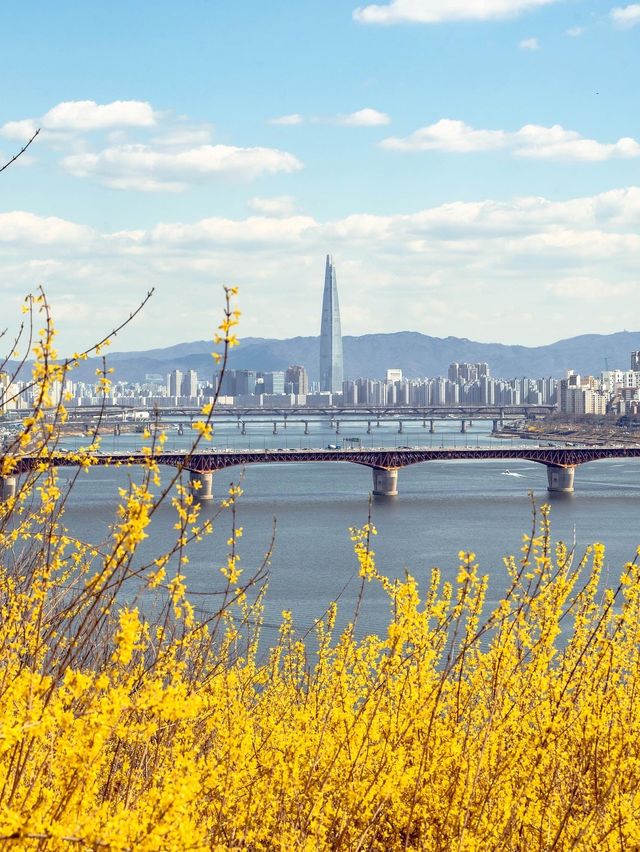 개나리 가득했던 달맞이근린공원