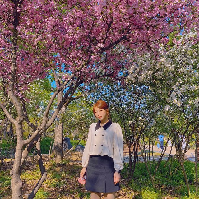 서부해당화라고 들어봤나🌸