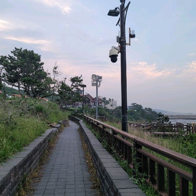 경주여행 양남 주상절리