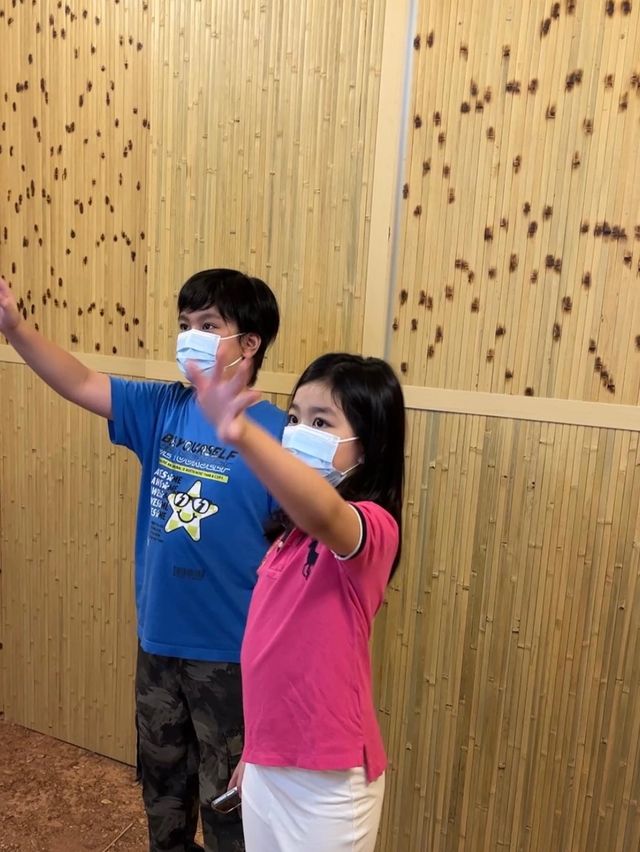 香港的熱帶雨林展覽｜馬鞍山免費入場
