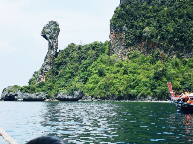 เกาะไก่ ⛰🐥🐣💗🫶🏻