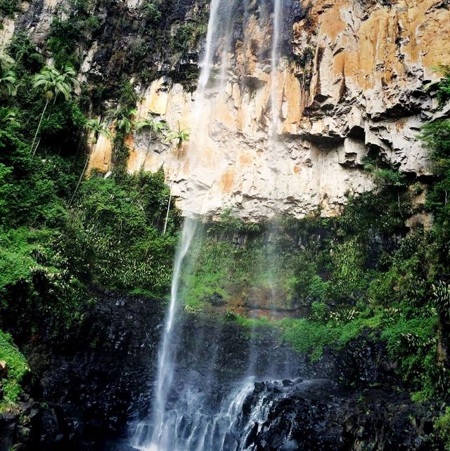 It's a Land Of Waterfall In Springbrook