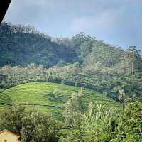 The different Sights Of Beautiful Sri Lanka