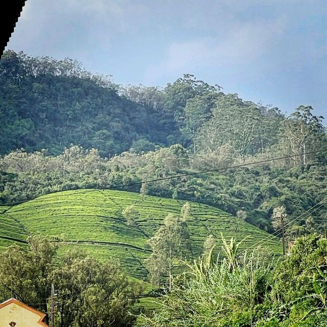 The different Sights Of Beautiful Sri Lanka