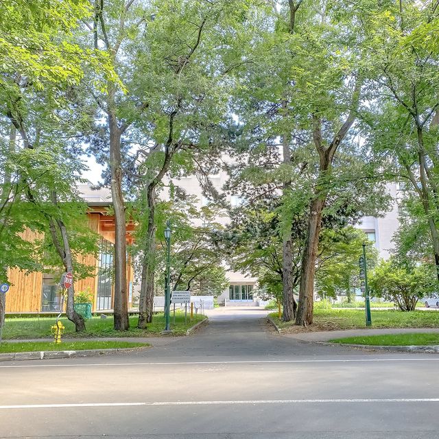 【札幌】北海道大学の自然 【札幌】北海道大学の自然