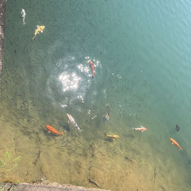 水務署 滴滴遊蹤到賞團