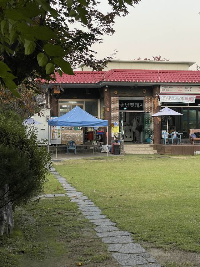 < 남양주 맛집 > 잔디밭 돗자리 위에서 먹는 멧돼지 고기, 금남 멧돼지 🏕️