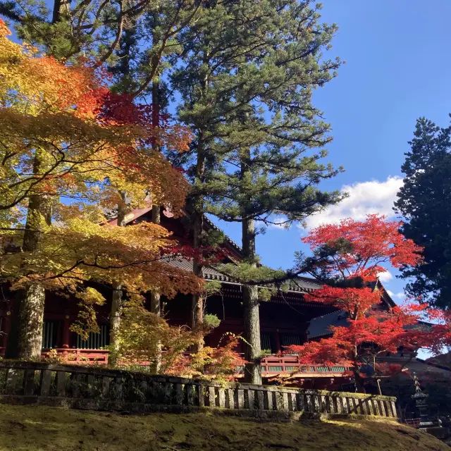 【日光】紅葉の綺麗な日光輪王寺大護摩堂