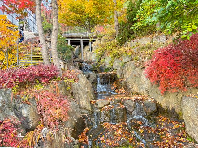 단풍이 너무 예쁘게 물든 화담숲🍁🧡