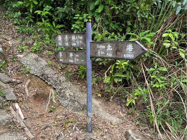 北港➡️茅坪➡️昂平營地