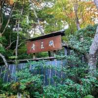 平家物語に登場する悲恋の尼寺【祇王寺】✨