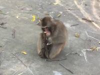 日本超大動植物園😍