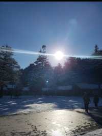 鋪蓋住白雪嘅北海道神宮