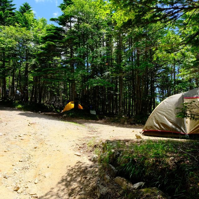 大弛小屋のテント場