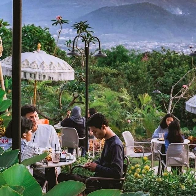 CAFE MONSTERA CAFE MONSTERA