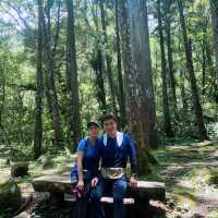 滿月圓森林遊樂區📍新北三峽登山步道