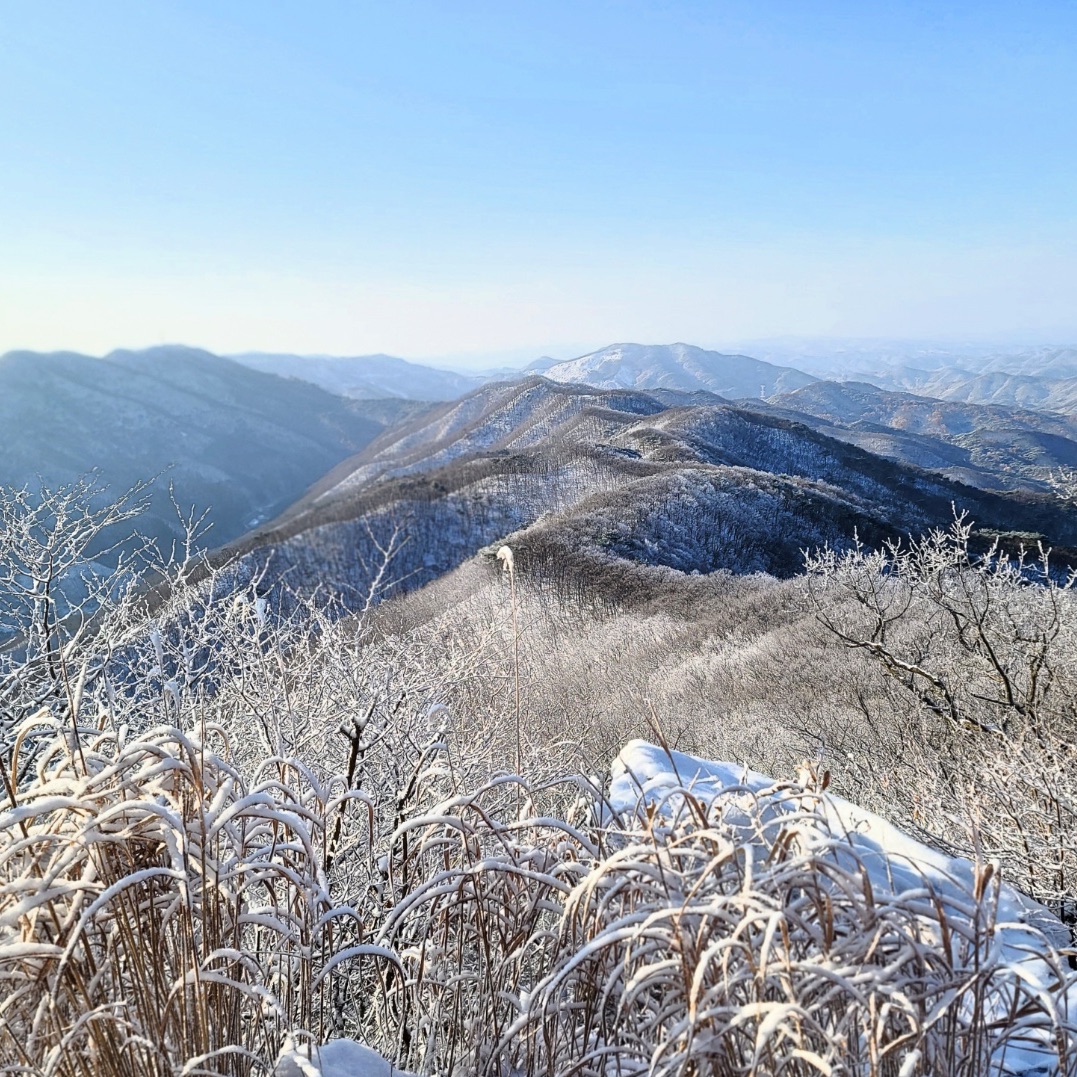 아산시 2024 인기 명소 - 아산시 트립 가이드 - 아산시 인기 명소 입장권 추천, 호텔, 가 볼 만한 곳, 식사, 맛집 - 트립닷컴