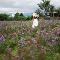 จิบกาแฟ ชมทุ่งดอกไม้ ที่ Stardoi Flower Farm