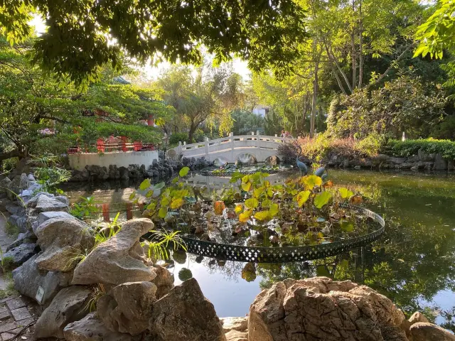 鳥語花香｜荔枝角公園