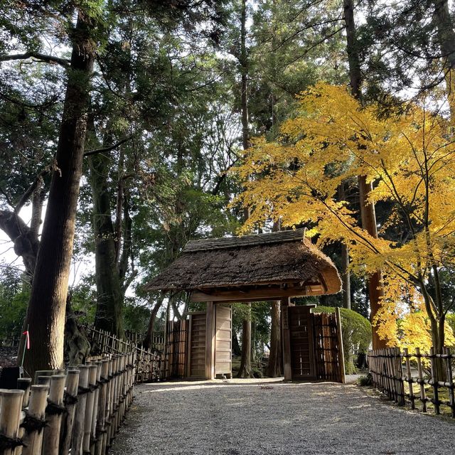 【茨城】日本三大名園「水戸・偕楽園」