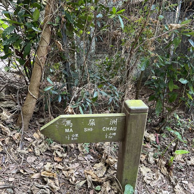 地質公園，馬屎洲