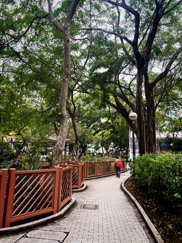🌺🌼德華公園悠閑觀花🌴🌿