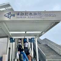 すみだ水族館