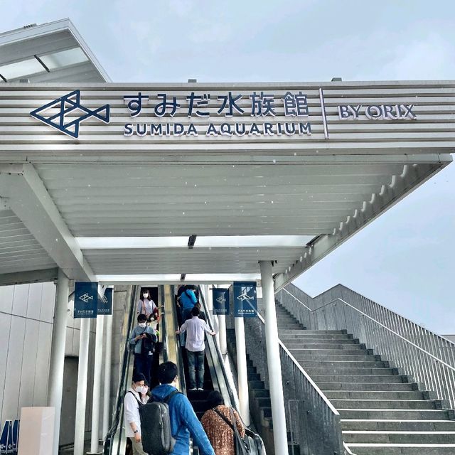すみだ水族館