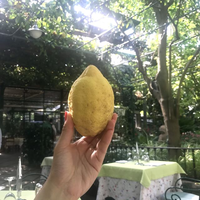 意大利Sorrento🍋檸檬樹下用餐