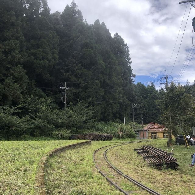 二萬坪：走入靜謐森林鐵道，享受豐富自然美景