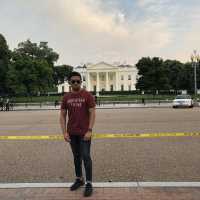 White House 