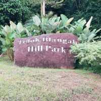 Hiking up Telok Blangah Hill Park