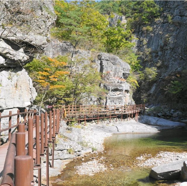 명품 단풍길트래킹