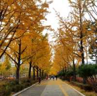 Autumn at Seoul Olympic Park