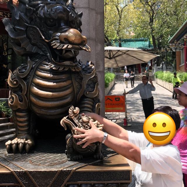 🇭🇰 Touching the lion statues