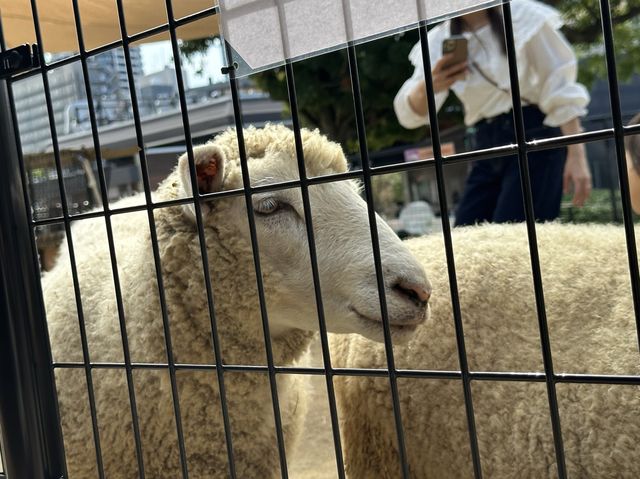 500円で見れる満足度高めの動物園🦁