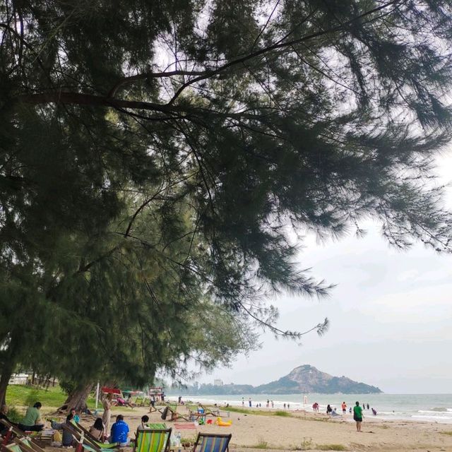 สวนสนประดิพัทธ์ หัวหิน